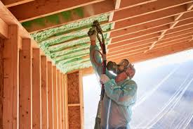 Best Eco-Friendly or Green Insulation Solutions  in Hutto, TX