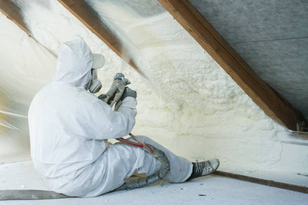 Best Eco-Friendly or Green Insulation Solutions  in Hutto, TX