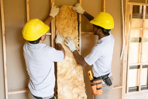 Best Insulation Air Sealing  in Hutto, TX